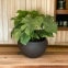 Black stoneware salad bowl - 15 cm - 100% handmade - Unique item • Basalt
