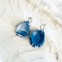 Naïma - Clous d'oreilles • Porcelaine bleu dégradé et zébré