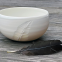 Le Bol Poèterie - Porcelaine blanche • Création artisanale