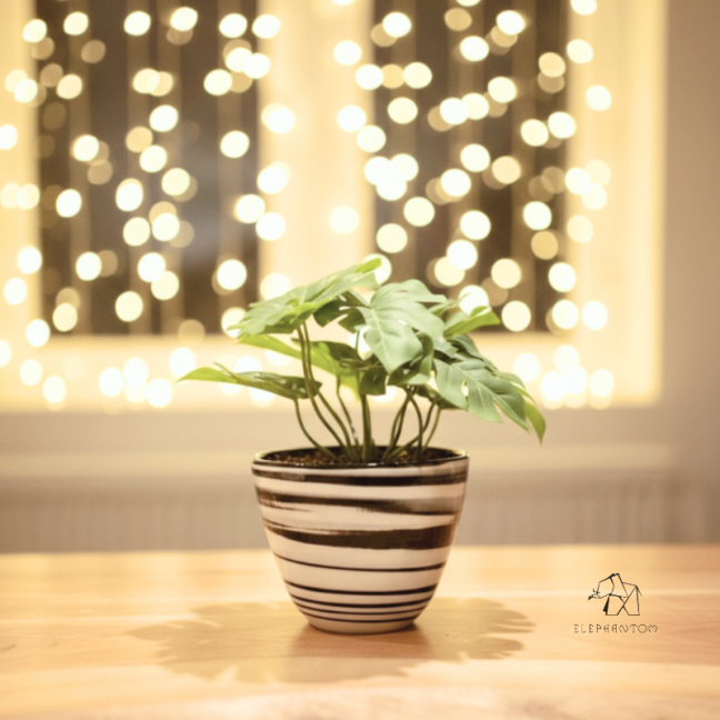 Cache-pot en Terres Mêlées - Porcelaine blanche et noire - Artisanat • Cyclone